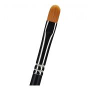 Matteo Arfanotti  #4 (Filbert Brush)