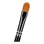 Matteo Arfanotti  #5 (Filbert Brush)