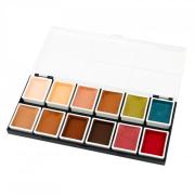 Paleta 12x Sazarac FX alkohol CAMELEON